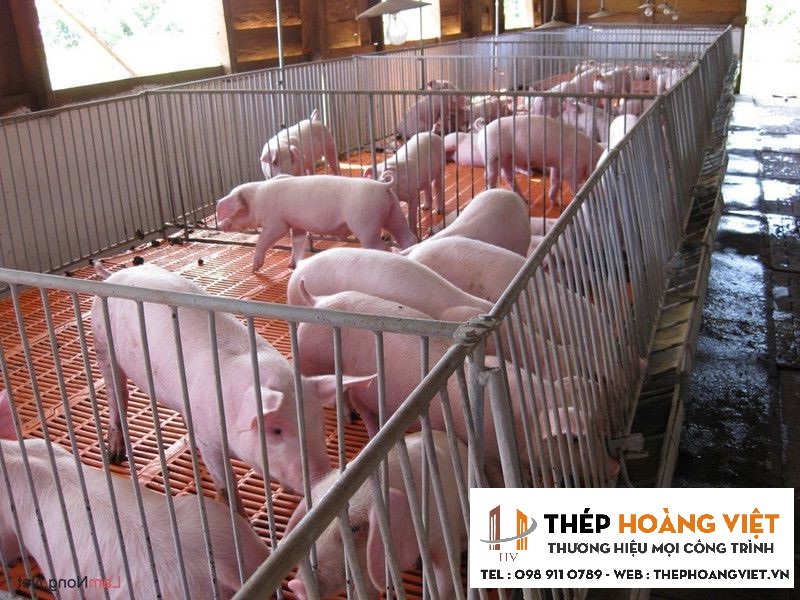 Khung đỡ sàn chuồng heo hay gọi là chuồng lợn, chuồng dê, chuồng trại